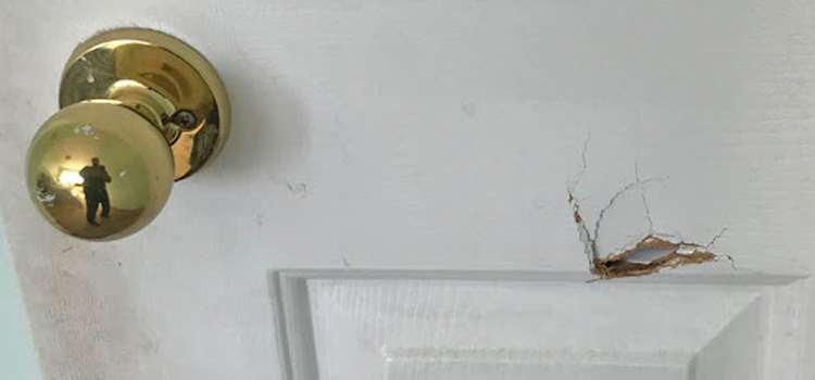 interior door hole repair Aptos