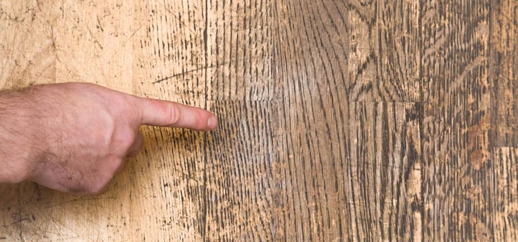 Wood Door Scratch Repair in Aptos